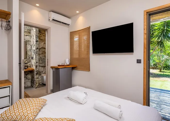 Casa Trees Boutique Hotel (Adults Only)